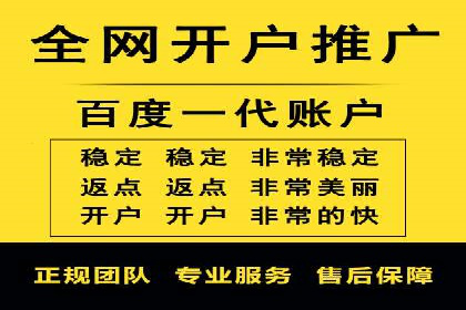 某电商平台的SEM推广策略全解析