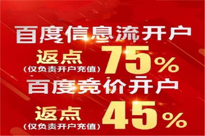 精准投放，高效转化：关键词竞价排名案例解析